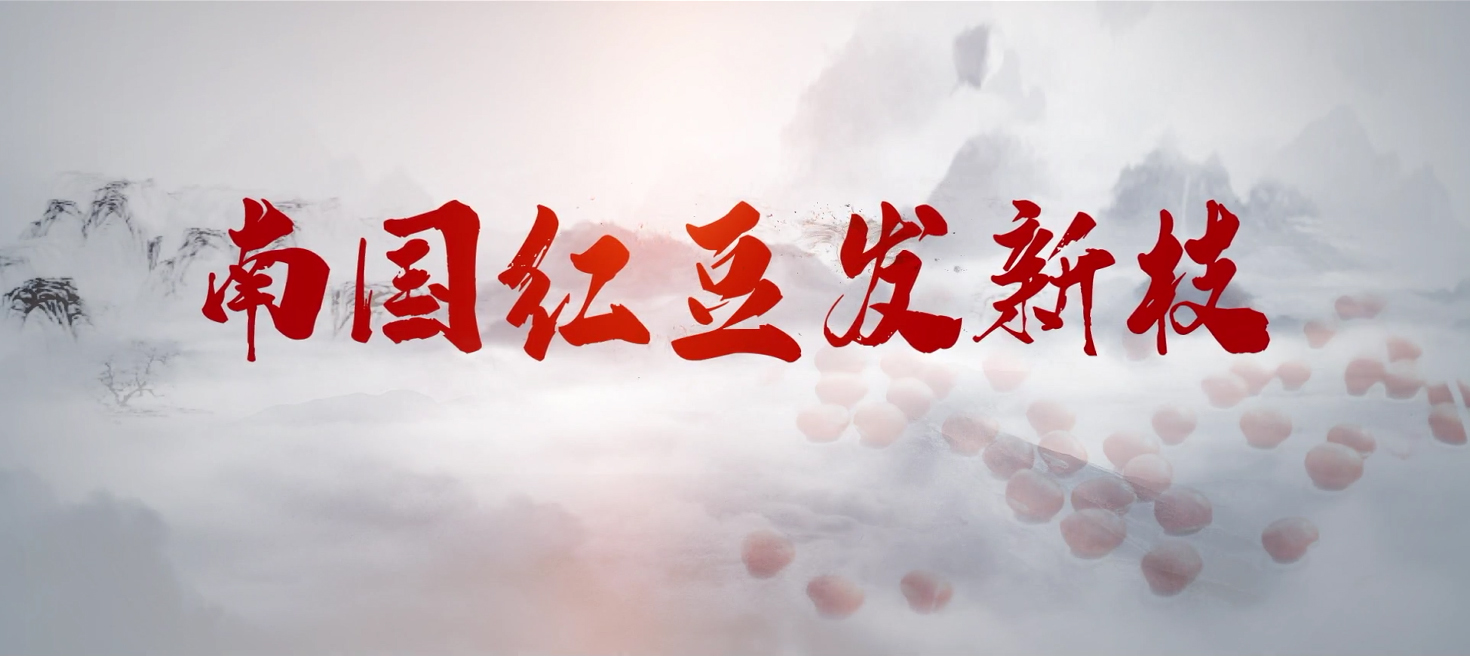 南国w66国际发新枝